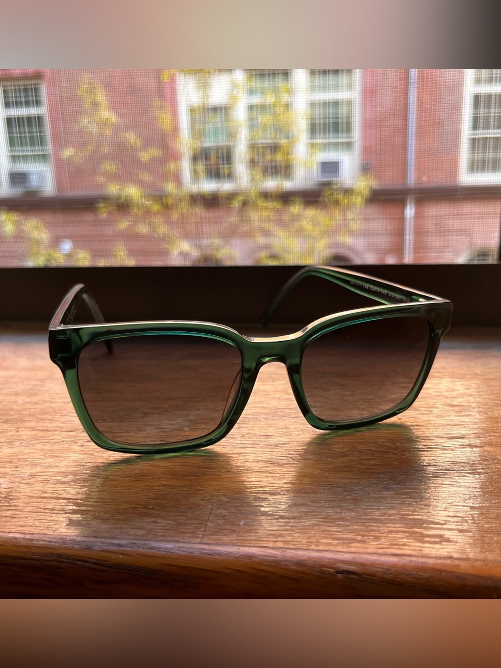 Warby Parker sunglasses